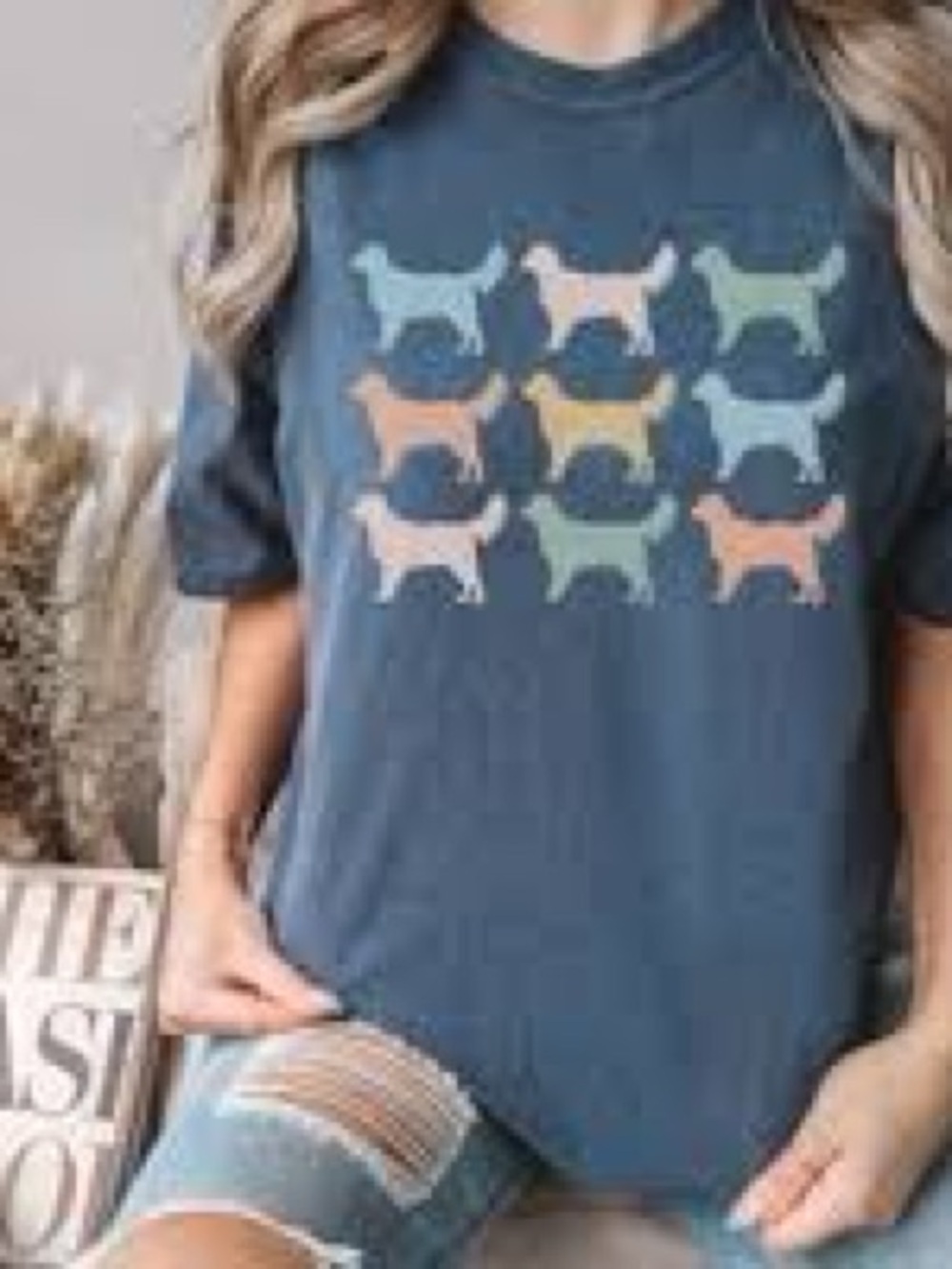 Colorful dachshund Silhouette Graphic Tee | Women’s Medium | Blue